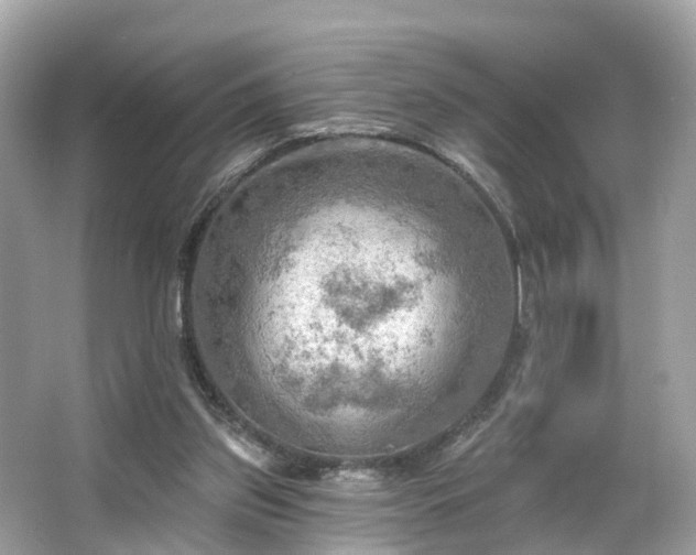 X0000063530157200601231551