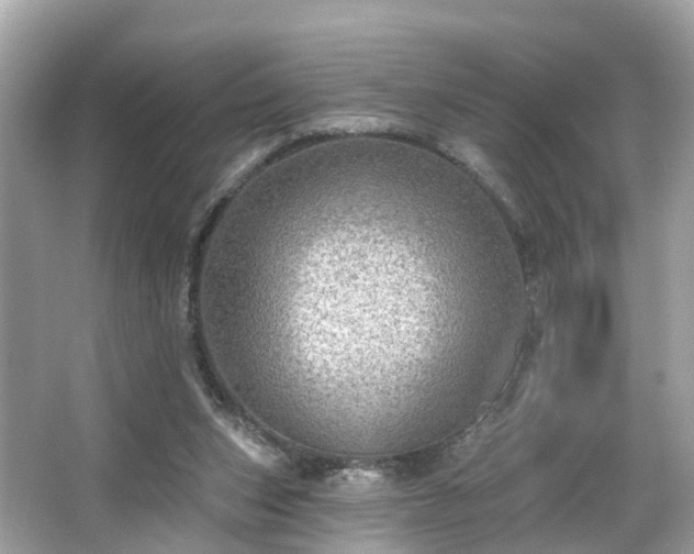 X0000063530159200601231551