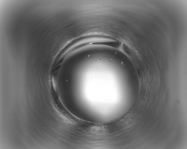 X0000063530160200601231551