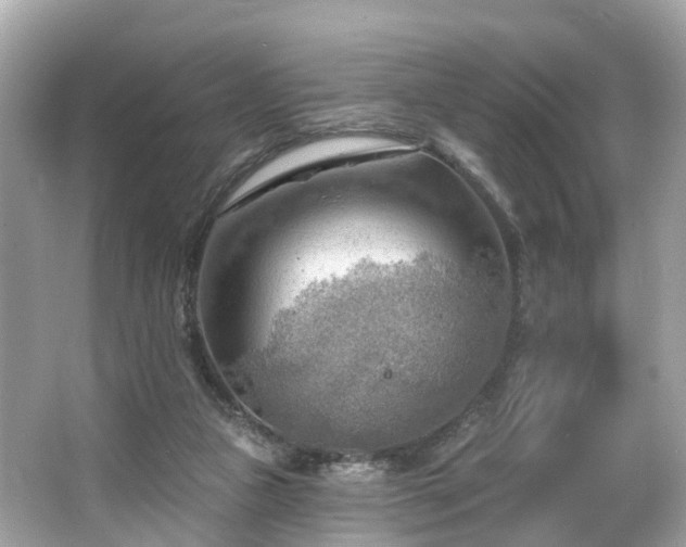 X0000063530161200601231551