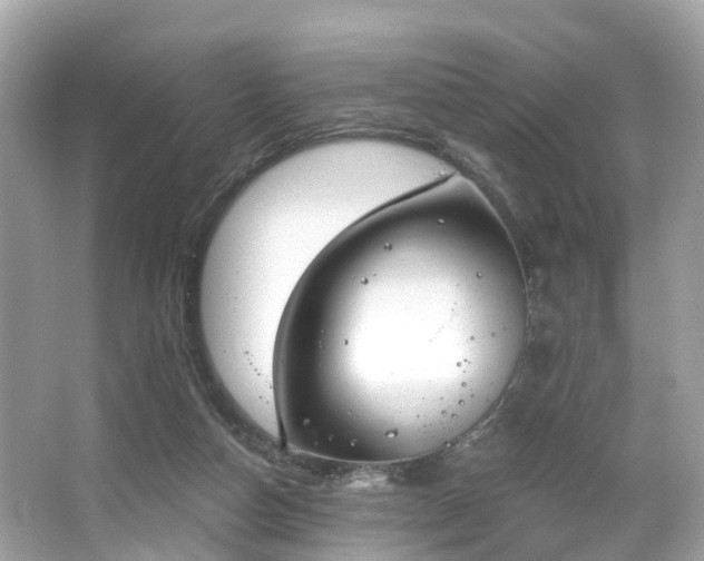 X0000063530162200601231551