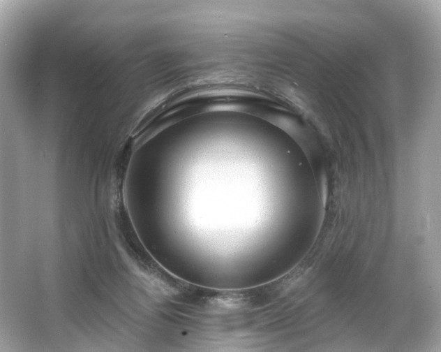 X0000063530164200601231551