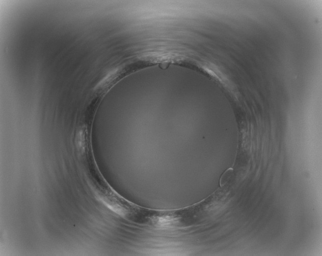 X0000063530165200601231551