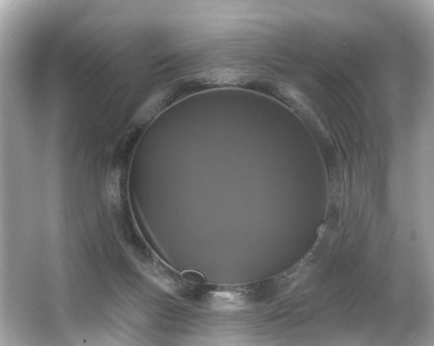 X0000063530167200601231551