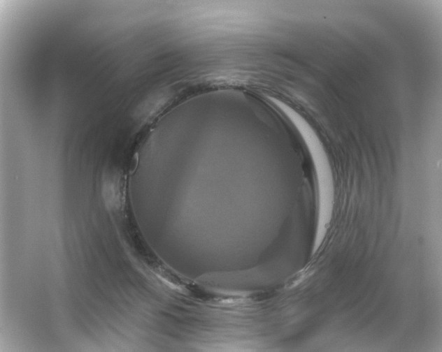 X0000063530168200601231551