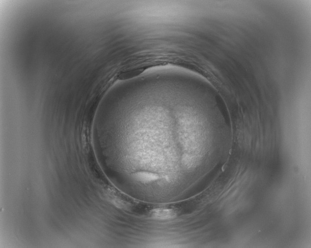 X0000063530169200601231551