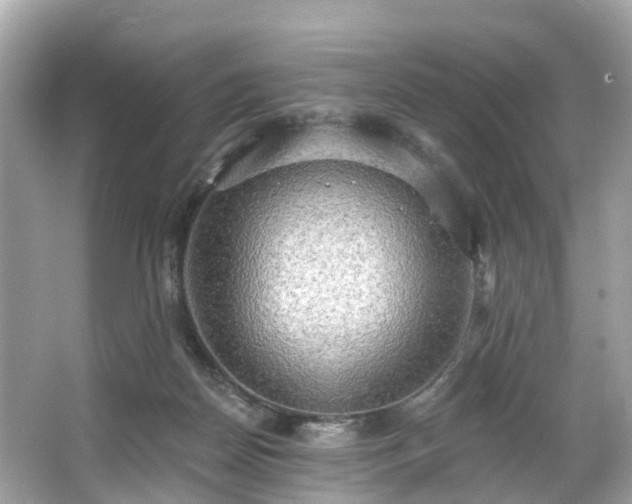 X0000063530170200601231551