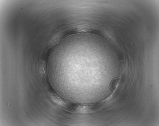 X0000063530174200601231551