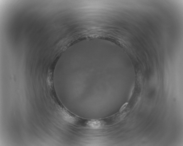 X0000063530181200601231551