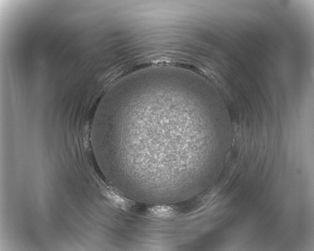 X0000063530189200601231551