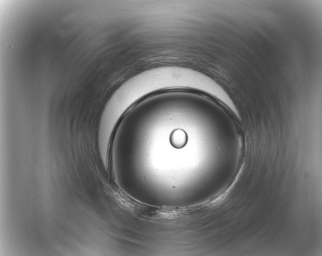 X0000063530190200601231551