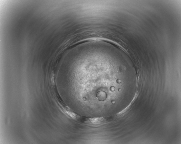 X0000063530191200601231551