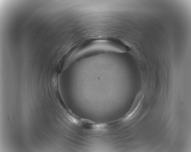 X0000063530192200601231551