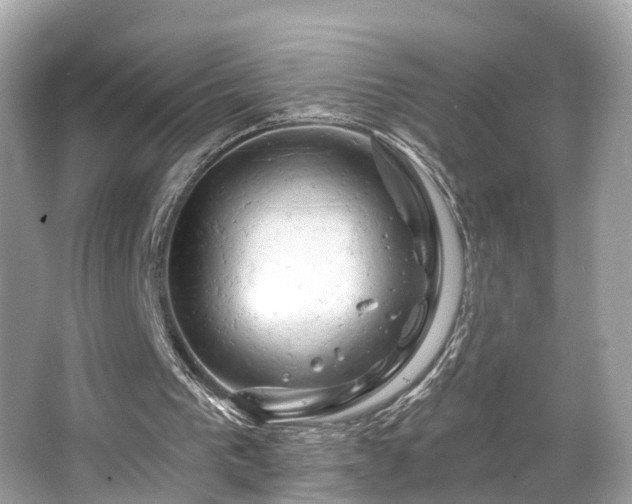 X0000063530193200601231550