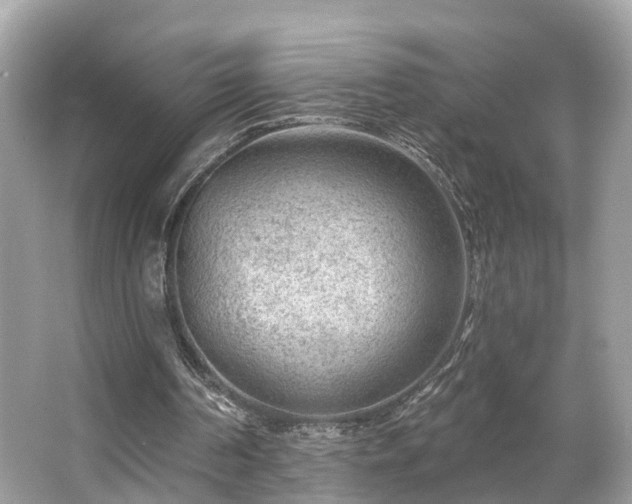 X0000063530194200601231550