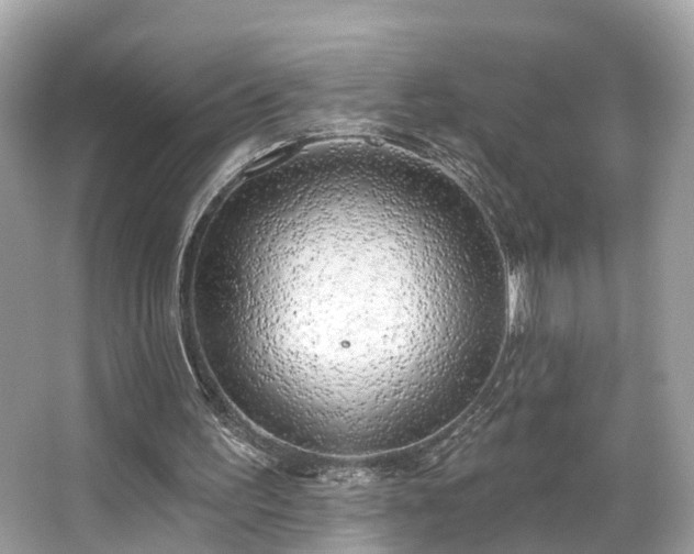 X0000063530195200601231550