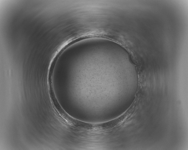 X0000063530196200601231550