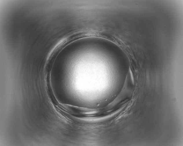 X0000063530197200601231550