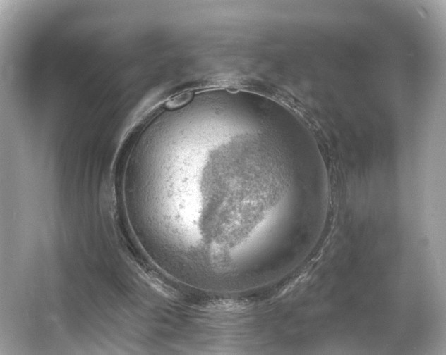 X0000063530198200601231550