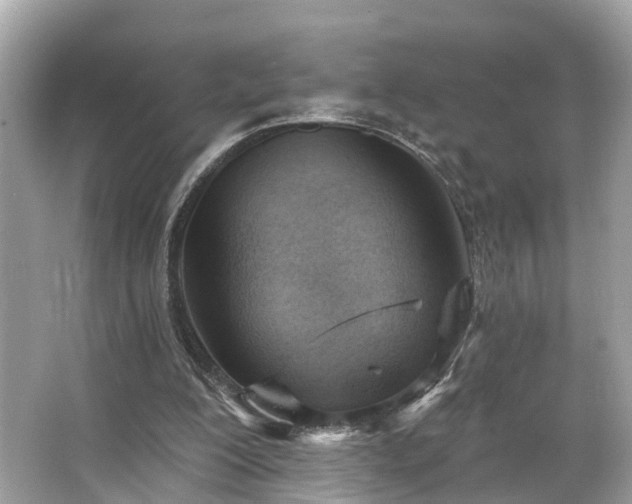 X0000063530200200601231550