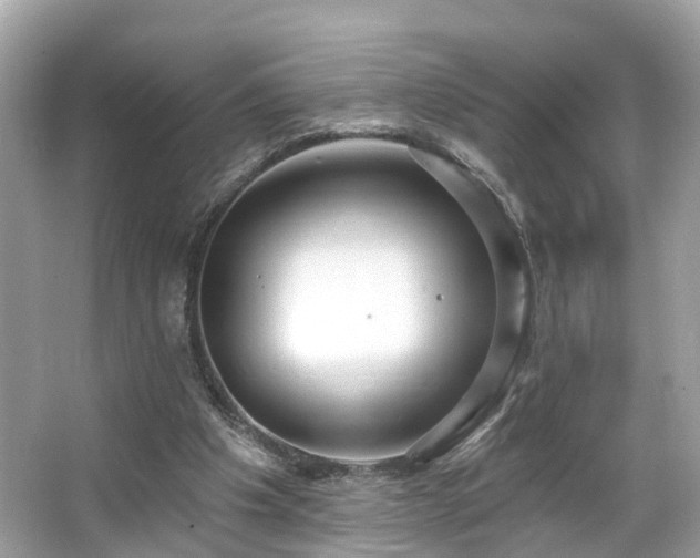 X0000063530201200601231550