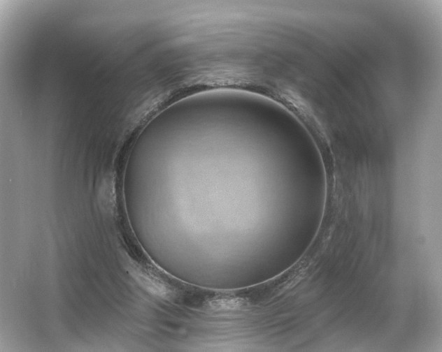 X0000063530202200601231550