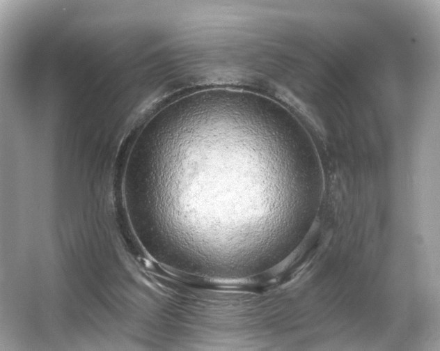 X0000063530203200601231550