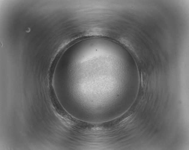 X0000063530204200601231550