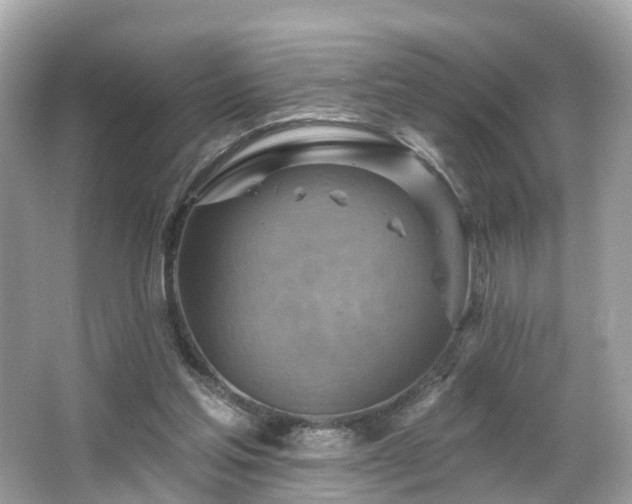 X0000063530205200601231550