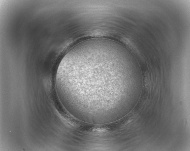 X0000063530208200601231550