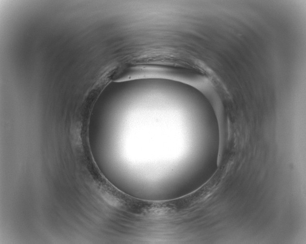 X0000063530209200601231550