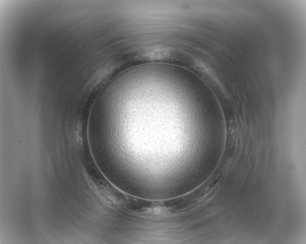 X0000063530212200601231550