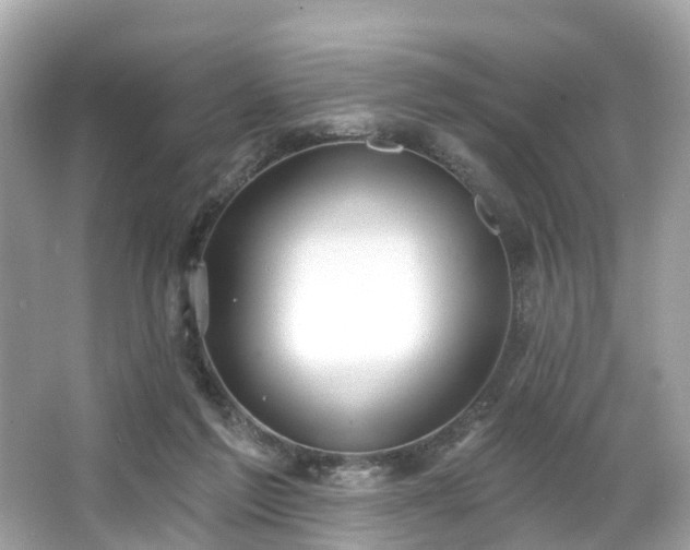 X0000063530213200601231550