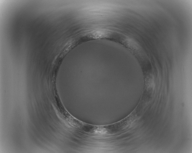 X0000063530214200601231550