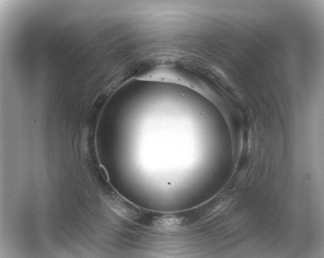 X0000063530217200601231550