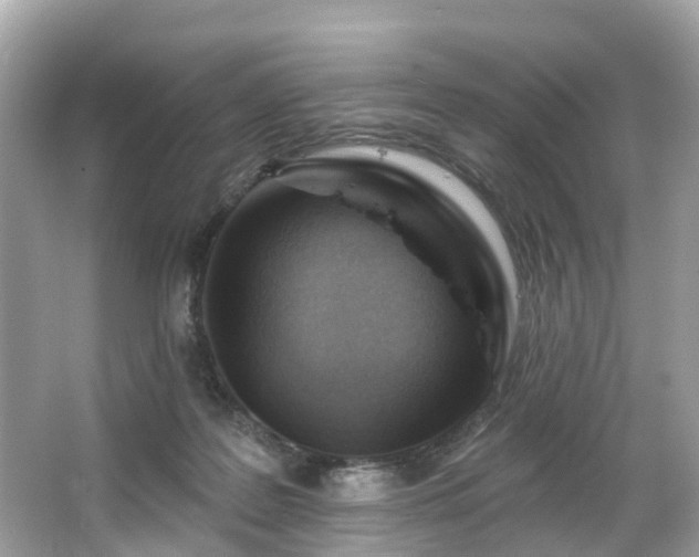 X0000063530219200601231550