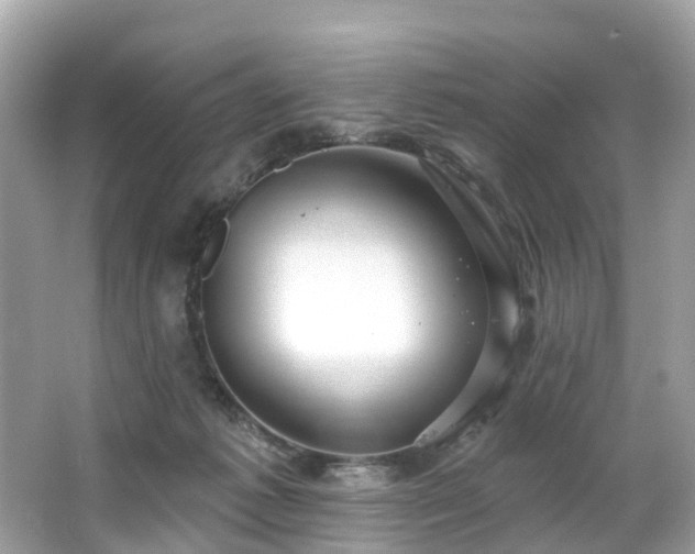 X0000063530221200601231550