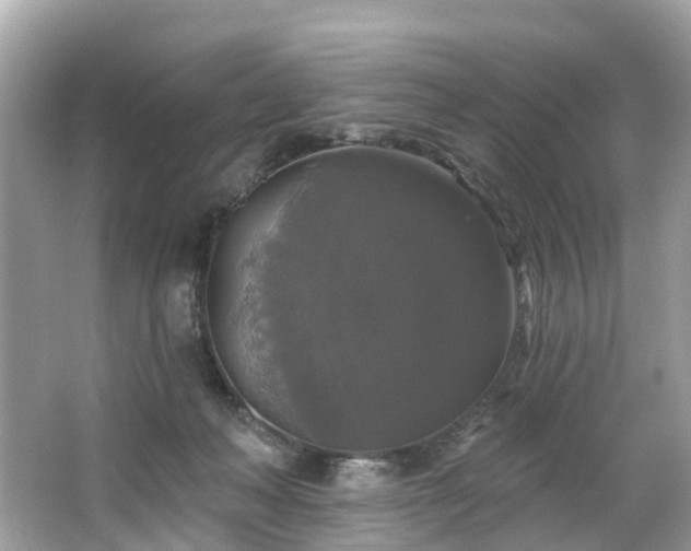 X0000063530222200601231550