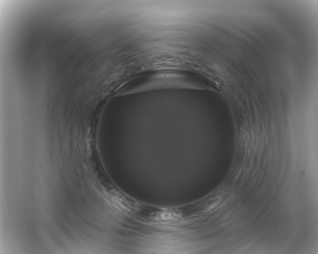 X0000063530223200601231550