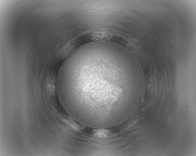 X0000063530226200601231550