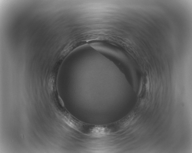 X0000063530227200601231550