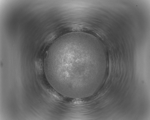 X0000063530228200601231550