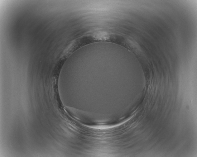 X0000063530229200601231550