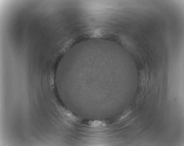 X0000063530230200601231550