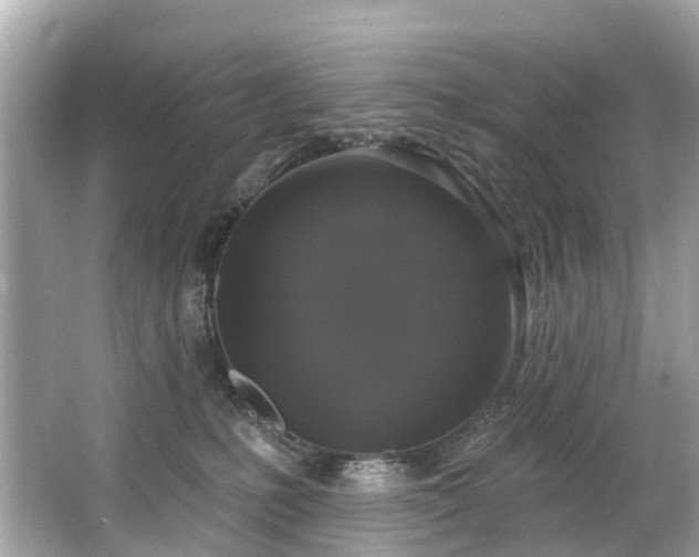 X0000063530231200601231550