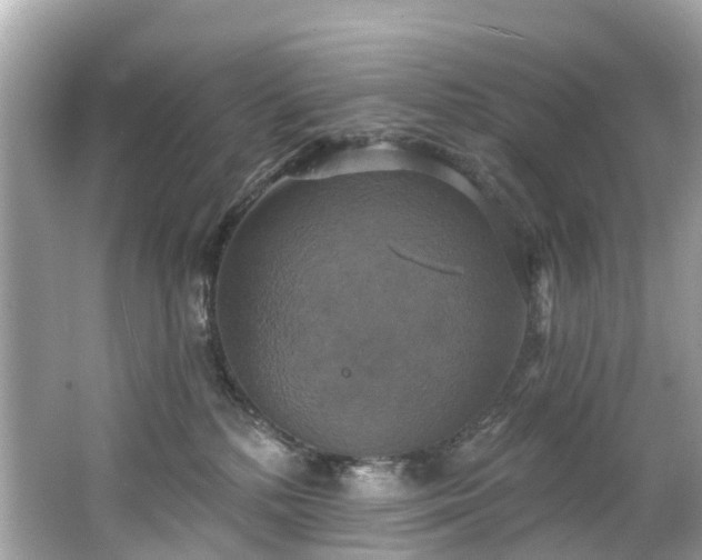 X0000063530232200601231550