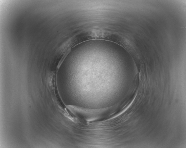 X0000063530233200601231550