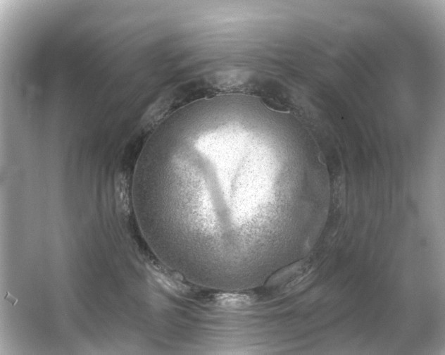 X0000063530234200601231550