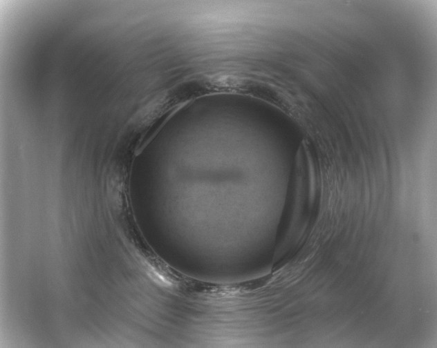 X0000063530235200601231550