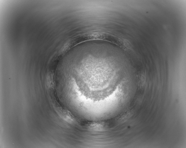 X0000063530236200601231550